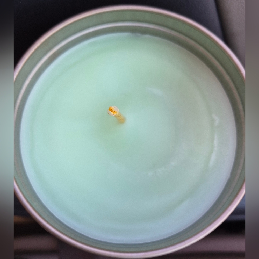 NEW Nest New York Sprig Fragrances Candle Anjou Pear & Sandalwood 11.5oz - Picture 3 of 5